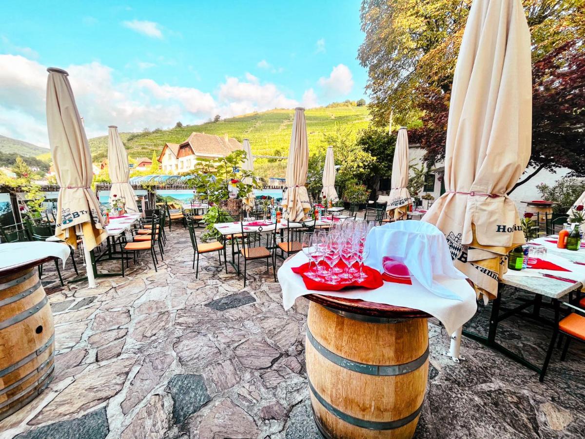 Stierschneider'S Weinhotel Wachau & Wiazhaus Spitz an der Donau Dış mekan fotoğraf
